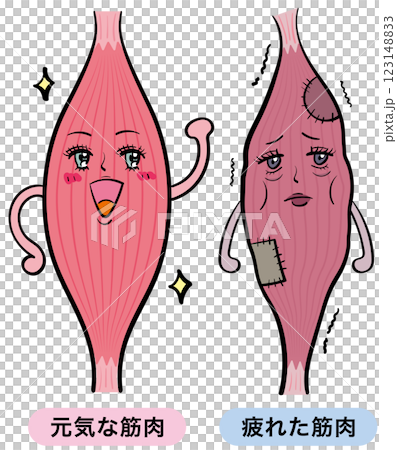 健康和疲勞的肌肉 健康和疲勞的肌肉 123148833