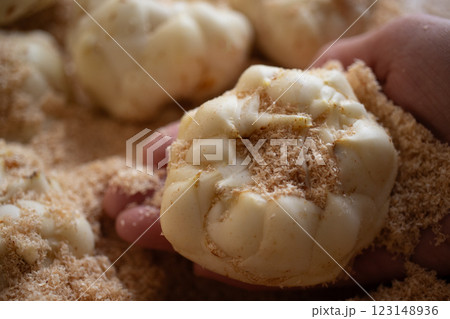 おがくずの中のユリネ(4) おがくずの中のユリネ(4) 123148936