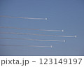 ブルーインパルス 123149197