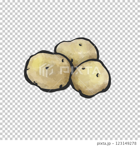 じゃがいもの手描き筆絵風イラスト 123149278