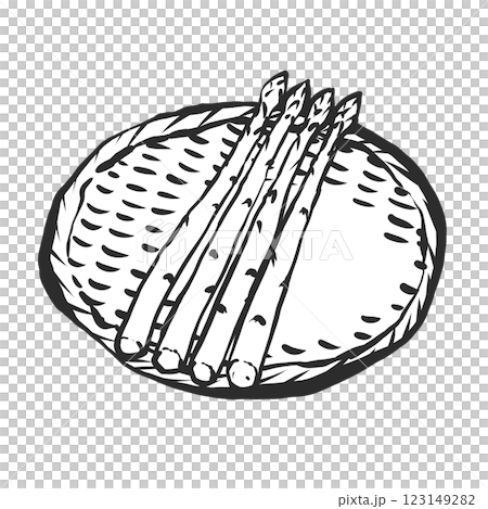 Hand-painted brush painting style illustration of asparagus Hand-painted brush painting style illustration of asparagus 123149282
