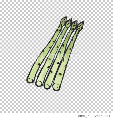 蘆筍的手繪毛筆繪畫風格插畫 蘆筍的手繪毛筆繪畫風格插畫 123149283