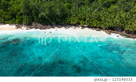 Waves gently wash over the white sand beach surrounded by tropical vegetation. Anse Intendance. Seychelles, Mahe. 123149333