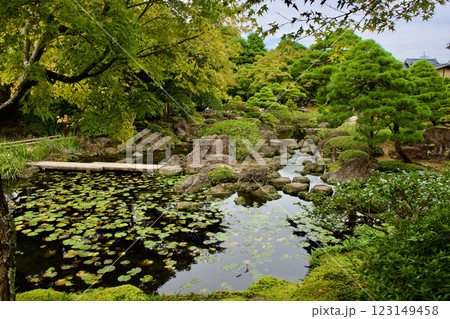 晩秋のの美しい日本庭園 123149458