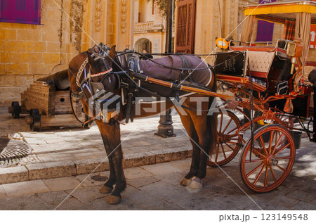 Traditional Horse Drawn Carriage in Mdina, Malta Historic City Tour Experience 123149548