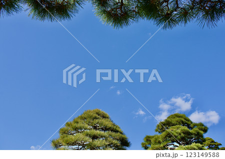 青空と松の緑の背景素材 青空と松の緑の背景素材 123149588