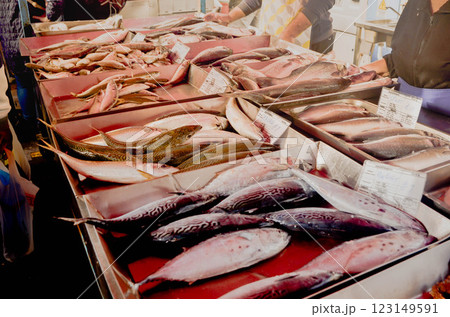 Variety of Fresh Fish on Display at Local Market 123149591