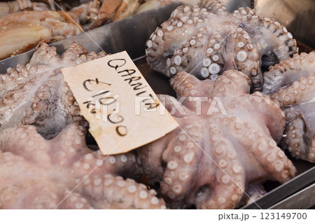 Fresh Octopus for Sale at a Seafood Market with Price Tag Fresh Octopus for Sale at a Seafood Market with Price Tag 123149700