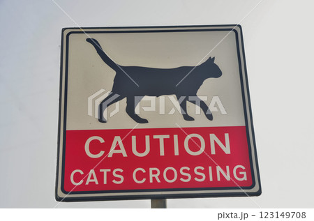 Caution Cats Crossing Sign Warning for Drivers and Pedestrians 123149708