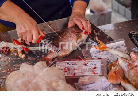 Woman hand as Fishmonger Scaling Fresh Fish at Seafood Market Woman hand as Fishmonger Scaling Fresh Fish at Seafood Market 123149716