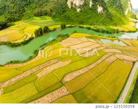 Aerial wide angle view of landscape with rice field at Phong Nam village in Trung Khanh, Cao Bang province,Northern Vietnam 123150359