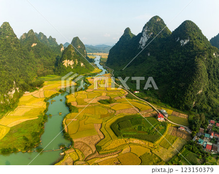 Aerial wide angle view of landscape with rice field at Phong Nam village in Trung Khanh, Cao Bang province,Northern Vietnam 123150379