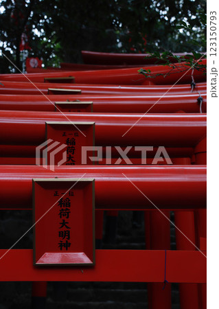 神奈川:白笹稲荷神社の赤鳥居 神奈川:白笹稲荷神社の赤鳥居 123150793