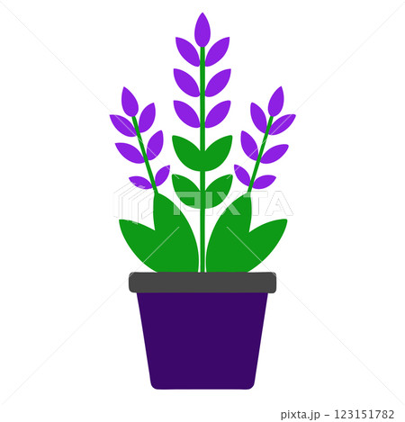 Minimalist Potted Lavender Plant Icon Elegant Floral Illustration for Wellness and Eco Friendly Designs Minimalist Potted Lavender Plant Icon Elegant Floral Illustration for Wellness and Eco Friendly Designs 123151782