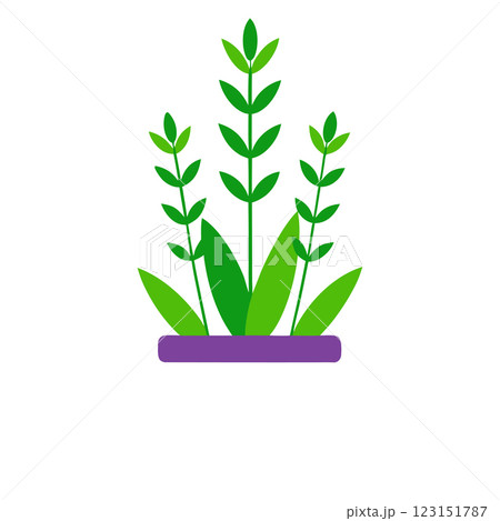 Minimalist Potted Lavender Plant Icon Elegant Floral Illustration for Wellness and Eco Friendly Designs 123151787