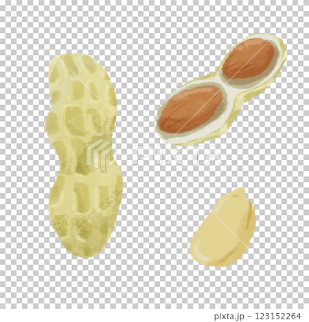 Peanut hand drawn color illustration set 123152264