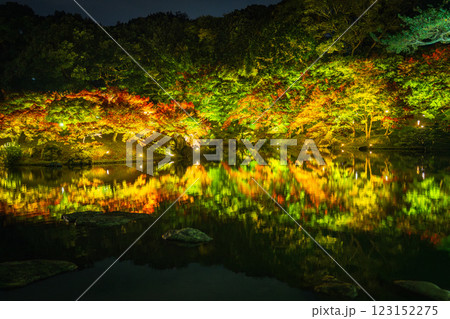 【高松市】栗林公園 秋のライトアップ【紅葉】 【高松市】栗林公園 秋のライトアップ【紅葉】 123152275