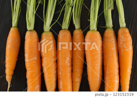Fresh Organic Carrots with Green Tops Arranged on a Dark Wooden Background Fresh Organic Carrots with Green Tops Arranged on a Dark Wooden Background 123152319