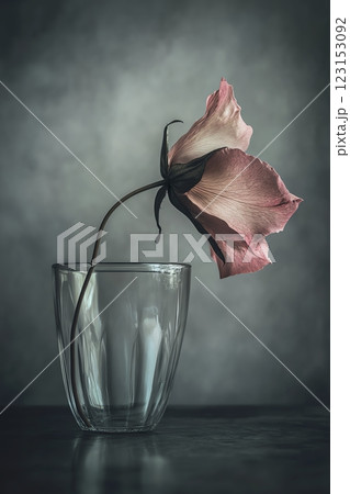 A delicate flower gracefully bends in a glass vase. 123153092