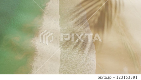 Image of palm tree leaf over beach and sea 123153591