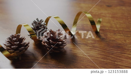 Image of merry christmas text over pine cones 123153888
