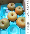 親戚から届いた大きな梨 123156436
