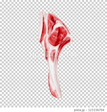 A piece of meat on a bone. Rib with meat. barbecue steak. Fresh raw meat. lamb and beef. Pork or horse meat. For menu Butcher shop assortment. watercolor illustration isolated from background.  123156704