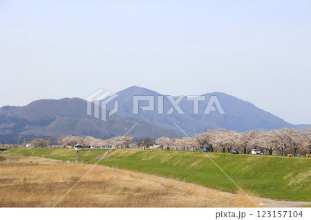春の信濃川大河津分水路にて（新潟県長岡市） 123157104