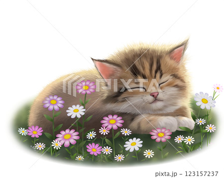 眠っているネコの背景 C 眠っているネコの背景 C 123157237