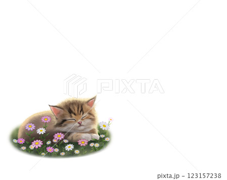 眠っているネコの背景 D-1 眠っているネコの背景 D-1 123157238