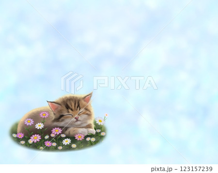 眠っているネコの背景 D-2 眠っているネコの背景 D-2 123157239