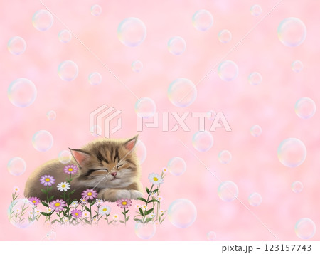 眠っているネコの背景(シャボン玉) F-3 眠っているネコの背景(シャボン玉) F-3 123157743