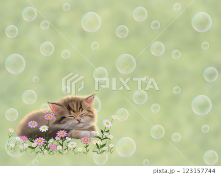 眠っているネコの背景（シャボン玉）　F-4 123157744