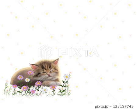 眠っているネコの背景（花柄）　G-1 123157745