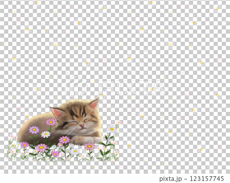 眠っているネコの背景（花柄）　G-1 123157745