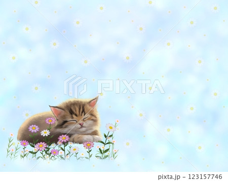 眠っているネコの背景(花柄) G-2 眠っているネコの背景(花柄) G-2 123157746