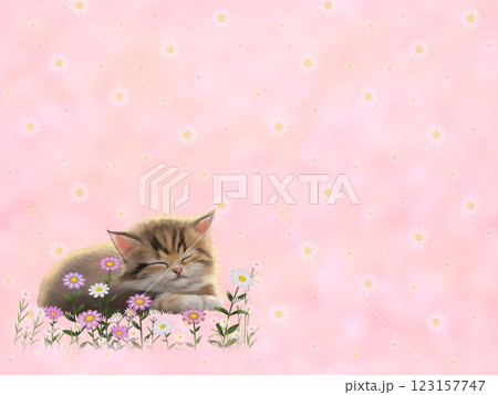 眠っているネコの背景（花柄）　G-3 123157747