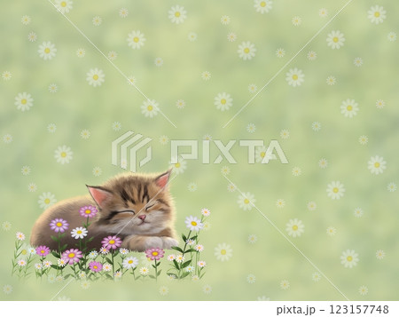 眠っているネコの背景（花柄）　G-4 123157748