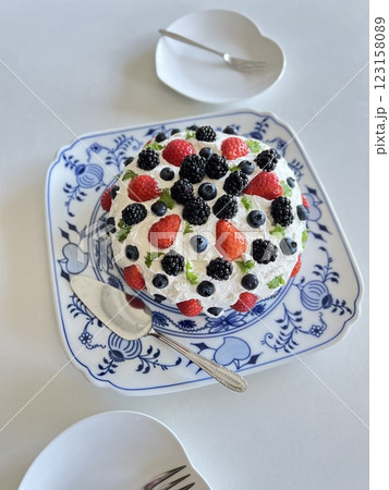 ベリーのケーキを作りました ベリーのケーキを作りました 123158089