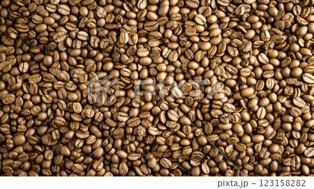 Close-up view of roasted coffee beans with rich texture 123158282