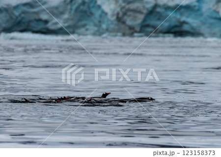 Swimming and Jumping Penguins among the Antarctic Sea Ice 123158373