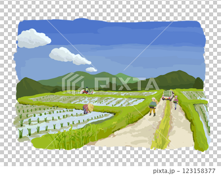 Rural landscape 123158377