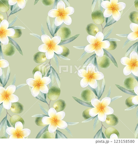 Olive branches with leaves, fruits and plumeria flowers seamless pattern on light olive color. Hand drawn botanical watercolor illustration with green olives and frangipani for packaging, fabrics. 123158580