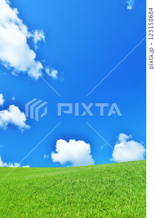 爽やかな夏の青空と新緑の草原風景 123158684