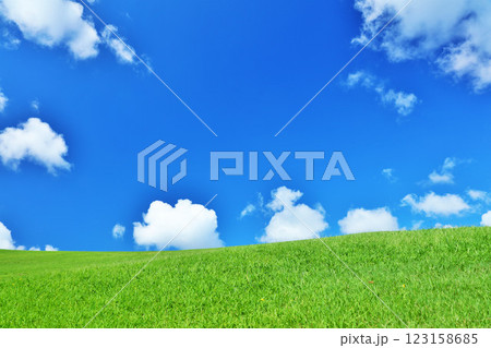 爽やかな夏の青空と新緑の草原風景 123158685