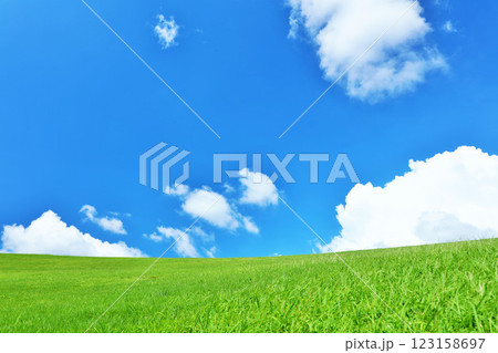 爽やかな夏の青空と新緑の草原風景 123158697
