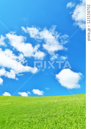 爽やかな夏の青空と新緑の草原風景 爽やかな夏の青空と新緑の草原風景 123158702