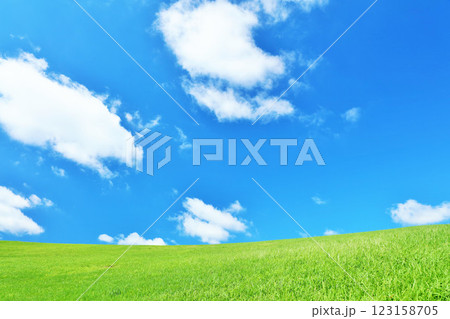 爽やかな夏の青空と新緑の草原風景 爽やかな夏の青空と新緑の草原風景 123158705