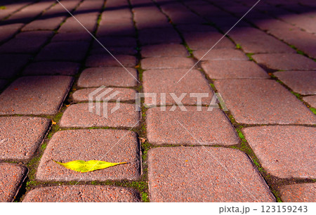 Autumn leaf on the road in the form of lips - autumn kiss Autumn leaf on the road in the form of lips - autumn kiss 123159243