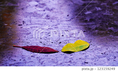 Sad autumn leaf on dark marble Sad autumn leaf on dark marble 123159249